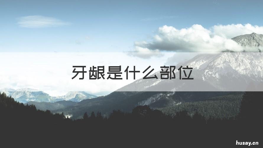 牙龈是什么部位 牙龈是什么部位图解