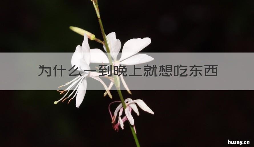 为什么一到晚上就想吃东西