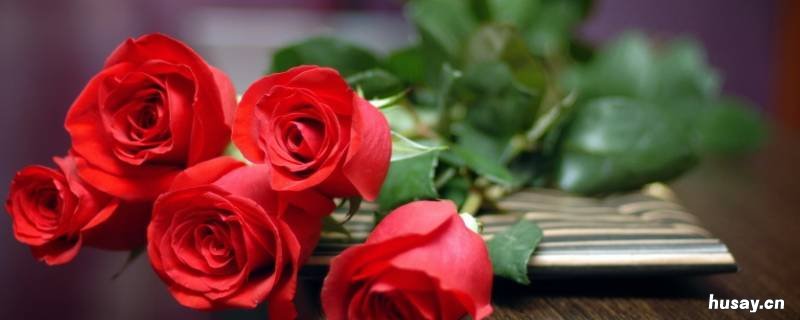 枯萎的玫瑰花瓣可以做什么 枯萎的玫瑰花能做什么