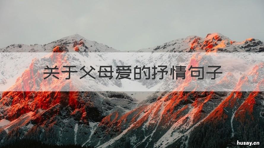关于父母爱的抒情句子 描写父母情的唯美句子