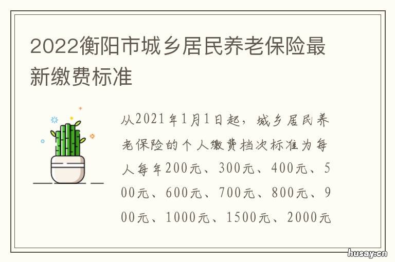 2022衡阳市城乡居民养老保险最新缴费标准 衡阳市区常住人口2020总人数