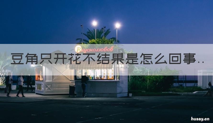 豆角只开花不结果是怎么回事 豆角只开花不结荚是什么原因