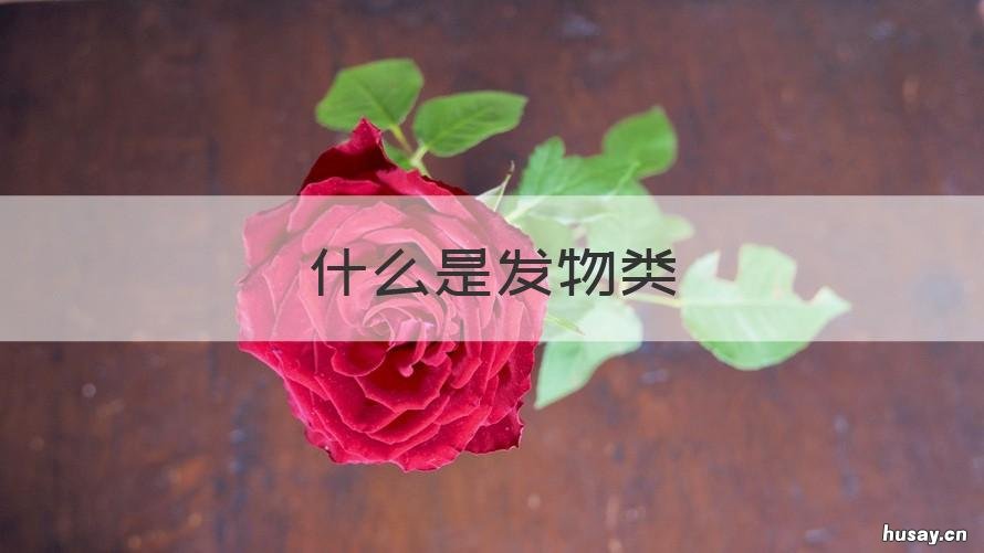 什么是发物类 什么叫发物有哪些
