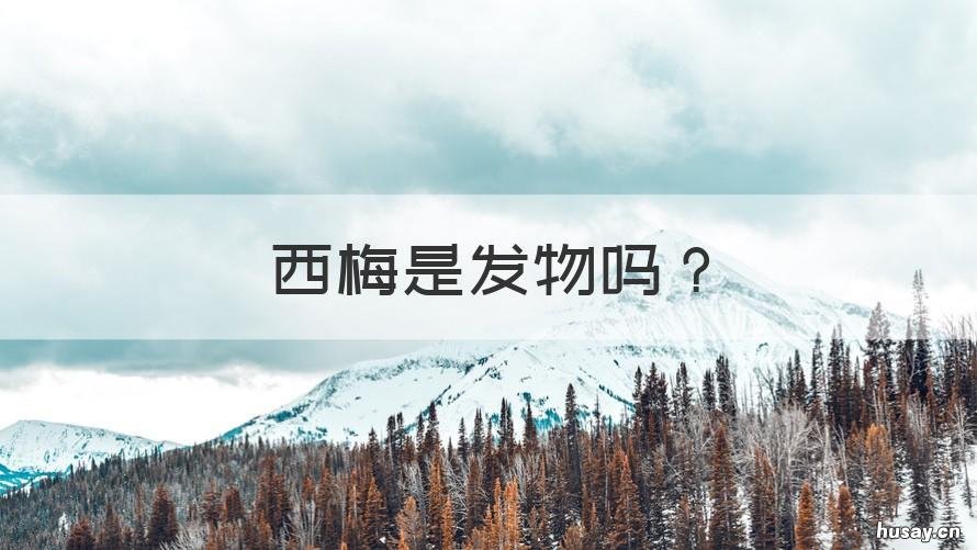 西梅是发物吗 梅片是发物吗