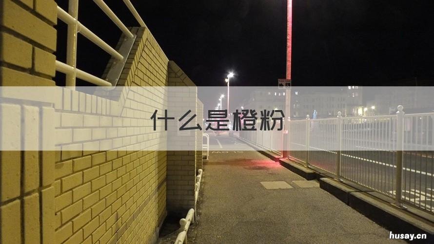 什么是橙粉 什么是粘粉,什么是澄粉