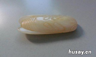 历代玉蝉特征 宋代玉蝉的特征是什么样的