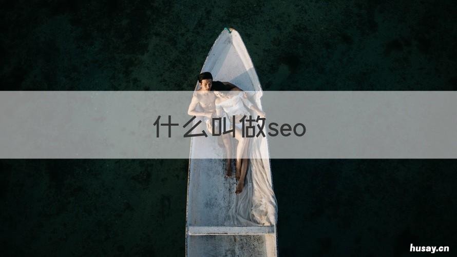 什么叫做seo 什么叫做色盲