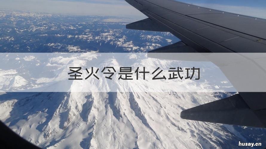 圣火令是什么武功 圣火令神功