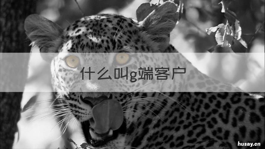 什么叫g端客户 g服务是什么意思