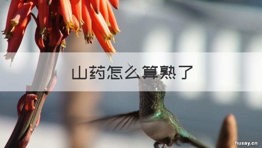 山药怎么算熟了 山药变成啥样算熟