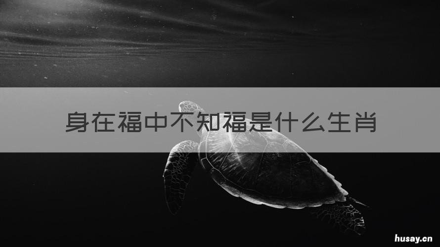 身在福中不知福是什么生肖 身在福中不知福什么意思?