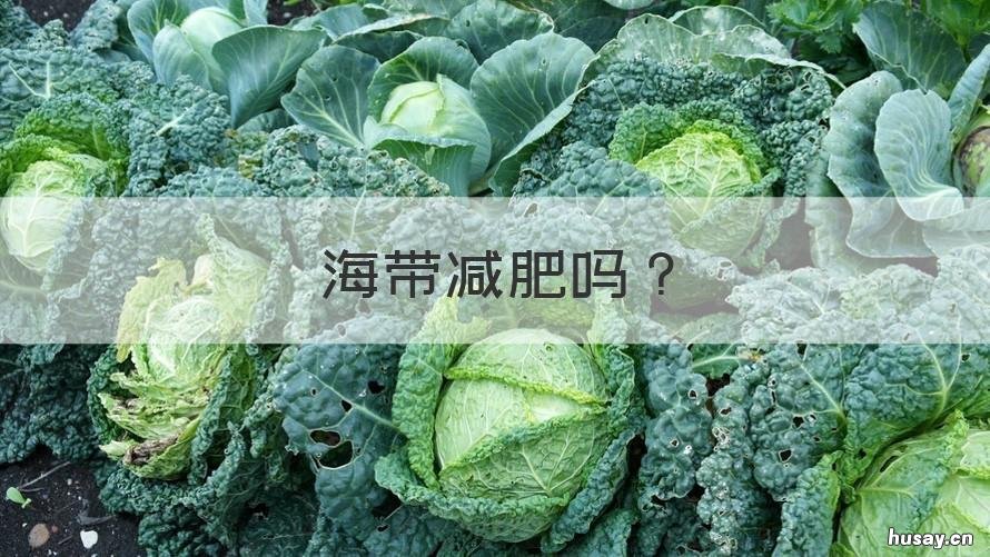 海带减肥吗 海带可减肥吗