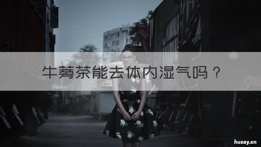 牛蒡茶能去体内湿气吗 牛蒡茶能排湿气吗