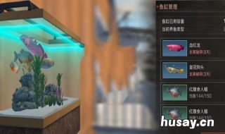 沼泽哪里钓血红龙 明日之后茅斯沼泽血红龙在哪里钓鱼