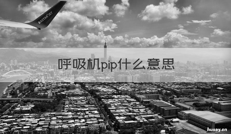 呼吸机pip什么意思 呼吸机中的pip是什么意思