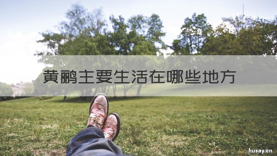 黄鹂主要生活在哪些地方 黄鹂主要生活在哪些地方呢
