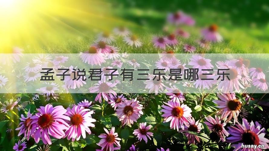 孟子说君子有三乐是哪三乐 孟子说君子有三乐是哪三乐?