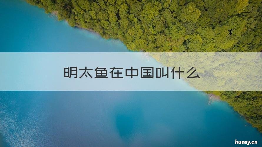 明太鱼在中国叫什么 明太鱼到底是什么鱼