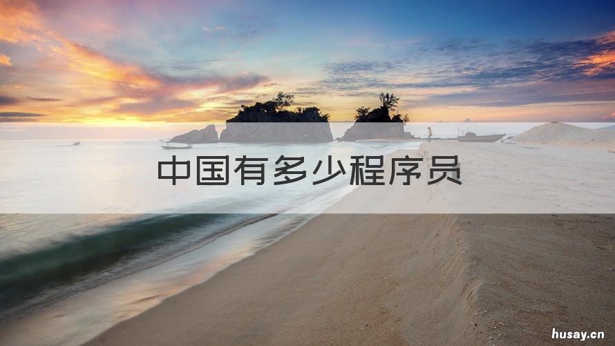 中国有多少程序员 中国有多少程序员是高中学历