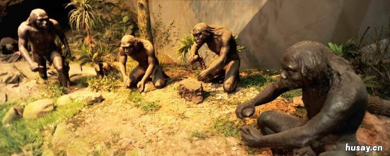 山顶洞人的体貌特征 山顶洞人的体貌特征具有什么