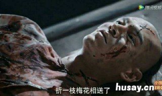 如懿传凌云彻死法 如懿传凌云彻死法加官进爵