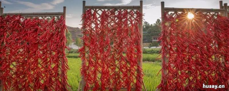 晒辣椒怎么串起来 晒干辣椒怎么串