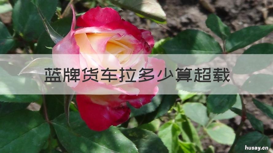 蓝牌货车拉多少算超载 蓝牌货车拉多少算超载的