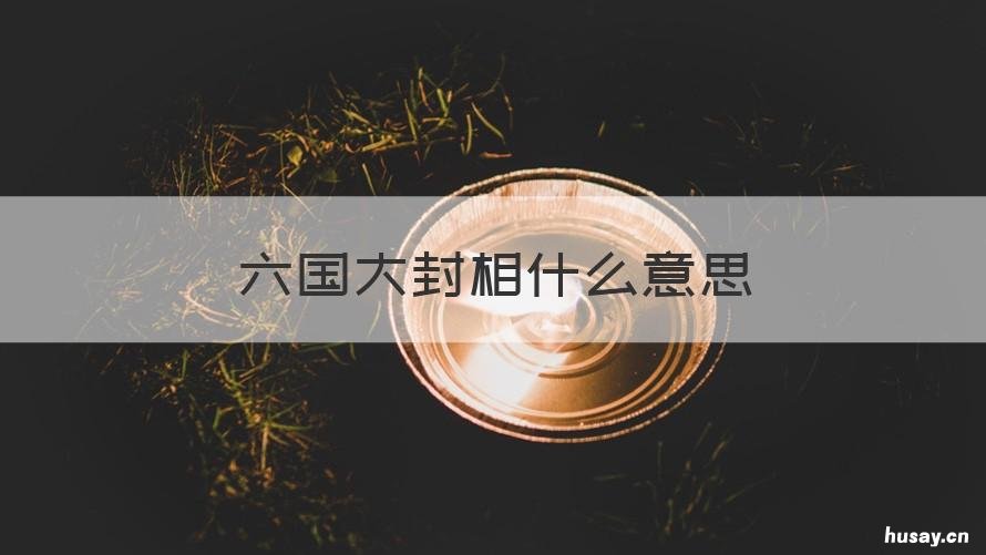 六国大封相什么意思 苏秦六国封相