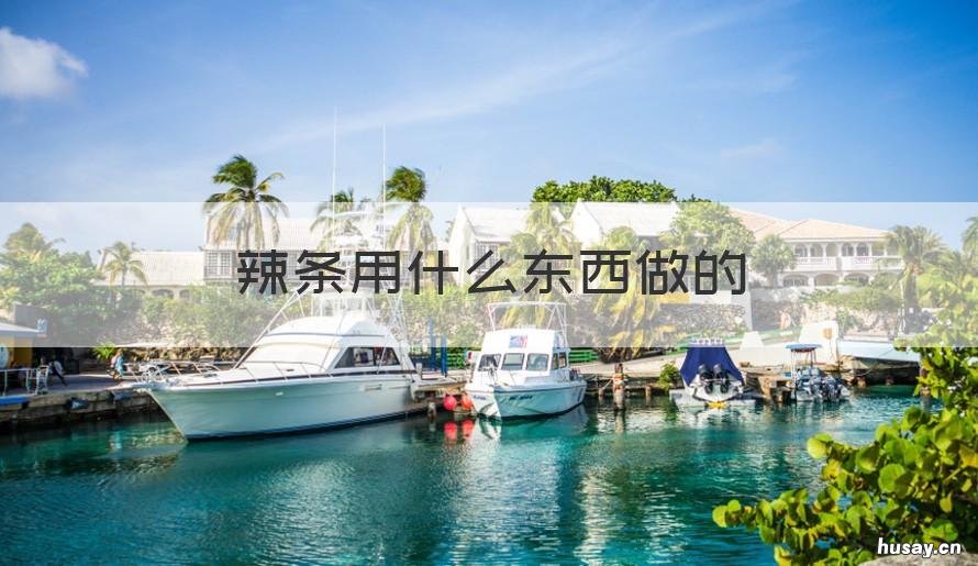 辣条用什么东西做的 辣条都是用什么做的