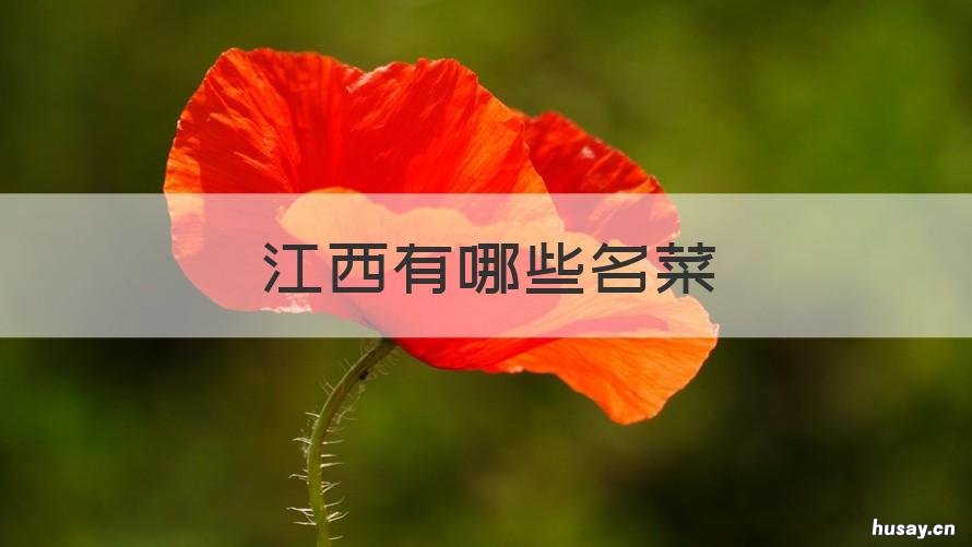 江西有哪些名菜 江西有哪些有名的菜