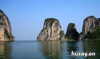 越南特产有哪些 越南特产有哪些值得买