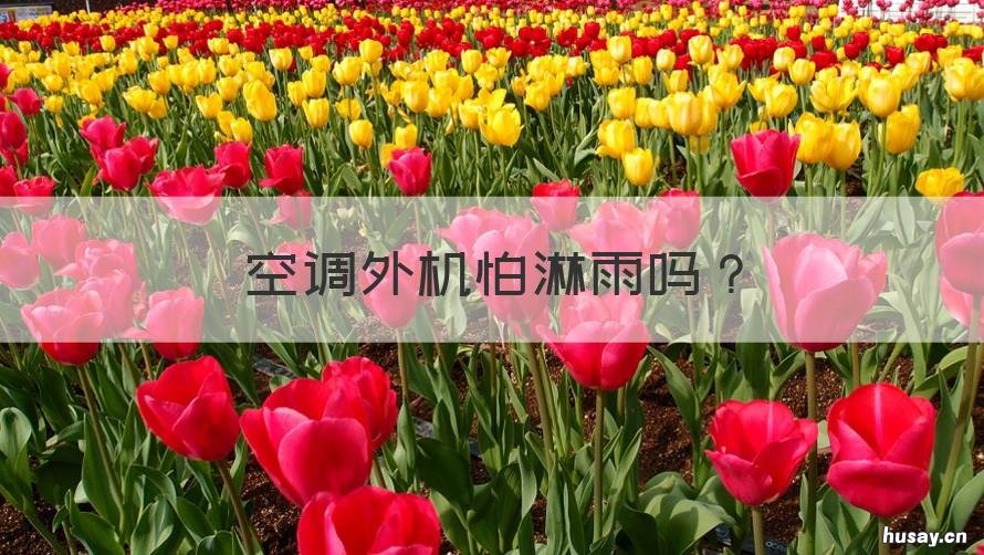 空调外机怕淋雨吗 空调外机怕雨淋么