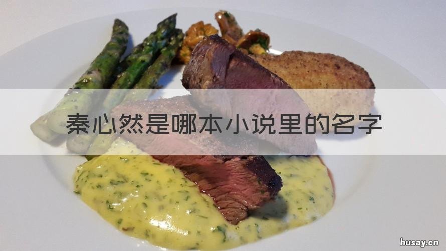 秦心然是哪本小说里的名字 女主叫秦然