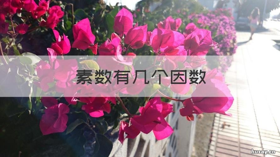 素数有几个因数 素数有几个因数分别是什么和什么