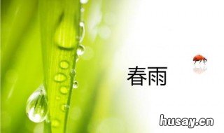 什么的春雨 什么的春雨填空