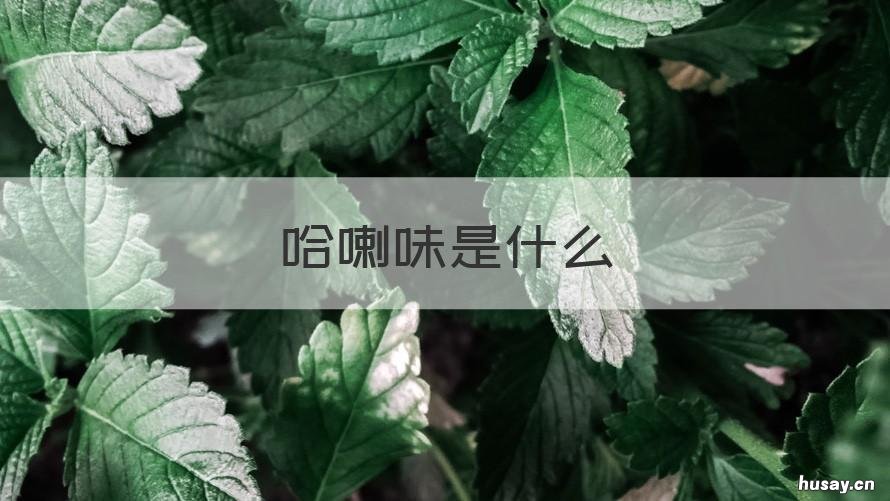 哈喇味是什么 哈喇味是什么特有的气味