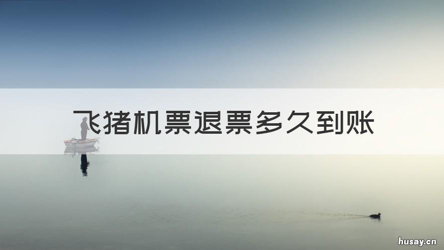 飞猪机票退票多久到账 飞猪机票退票什么时候到账