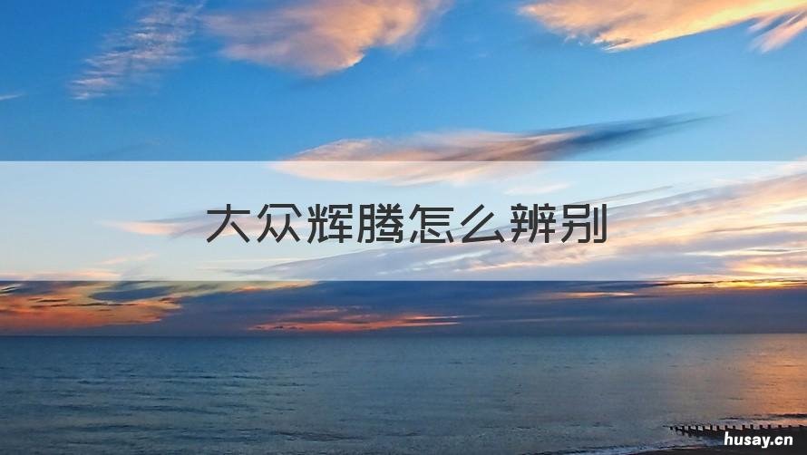 大众辉腾怎么辨别 怎么辨认大众辉腾