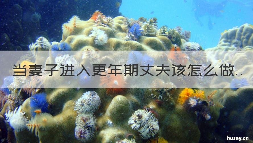 当妻子进入更年期丈夫该怎么做 当妻子进入更年期丈夫该怎么安慰