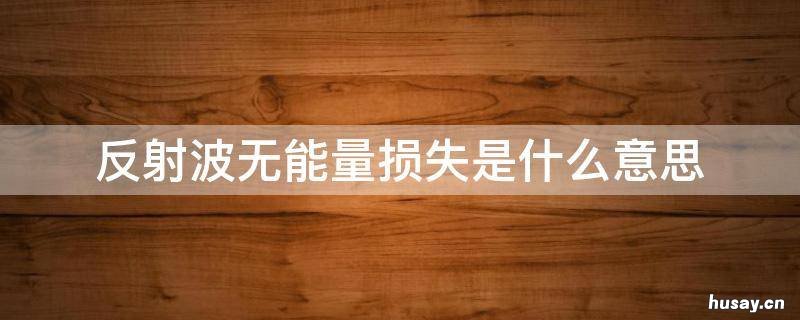 反射波无能量损失是什么意思 反射波无能量损失是什么意思啊