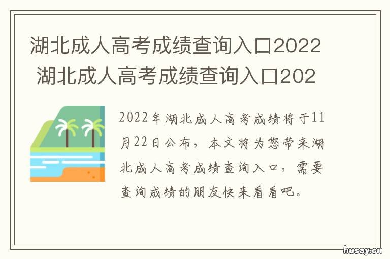 湖北成人高考成绩查询入口2022 2019年湖北省成人高考成绩查询入口