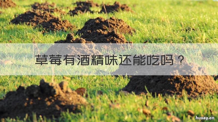 草莓有酒精味还能吃吗 草莓有酒精味还能吃吗百度百科