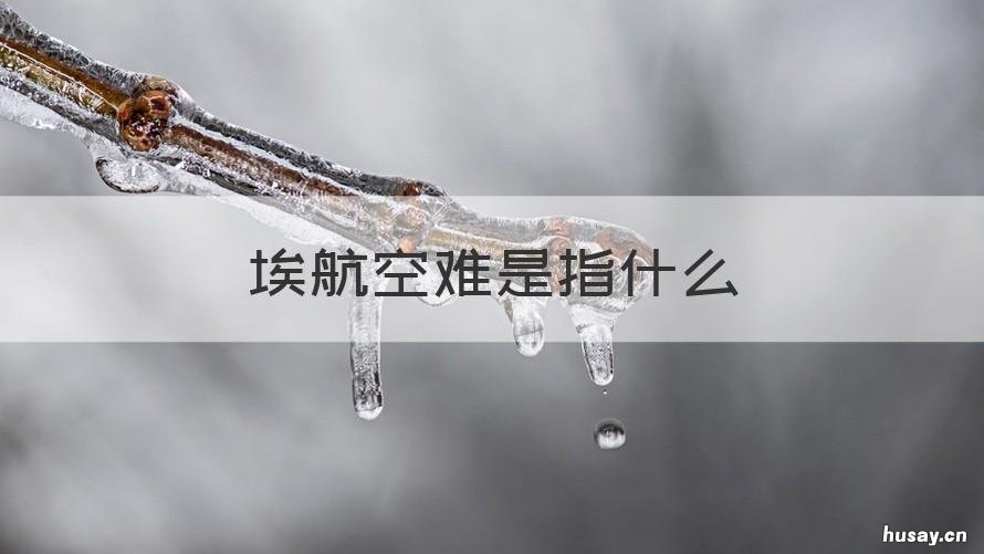 埃航空难是指什么 埃及航空空难
