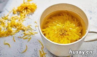 野菊花能直接泡水喝吗 野菊花可以泡水喝吗