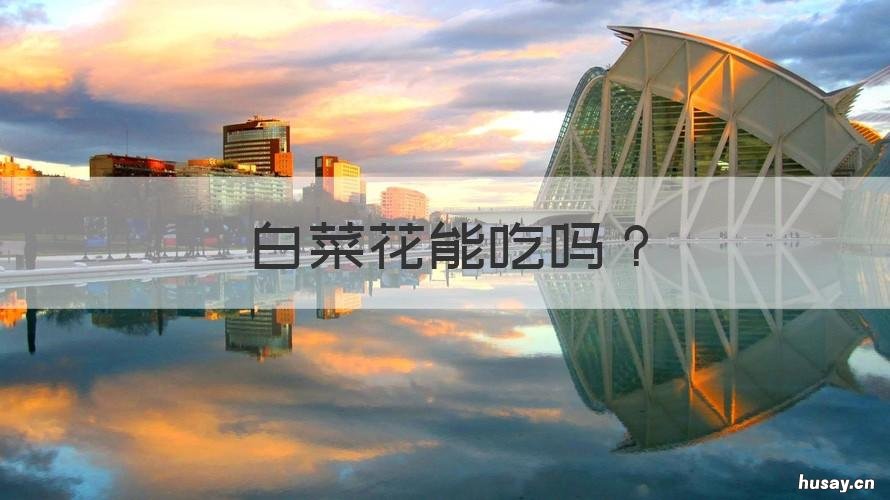 白菜花能吃吗 白菜花能吃吗有毒吗
