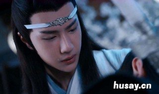 为什么蓝湛叫含光君 蓝湛的含光君是什么意思