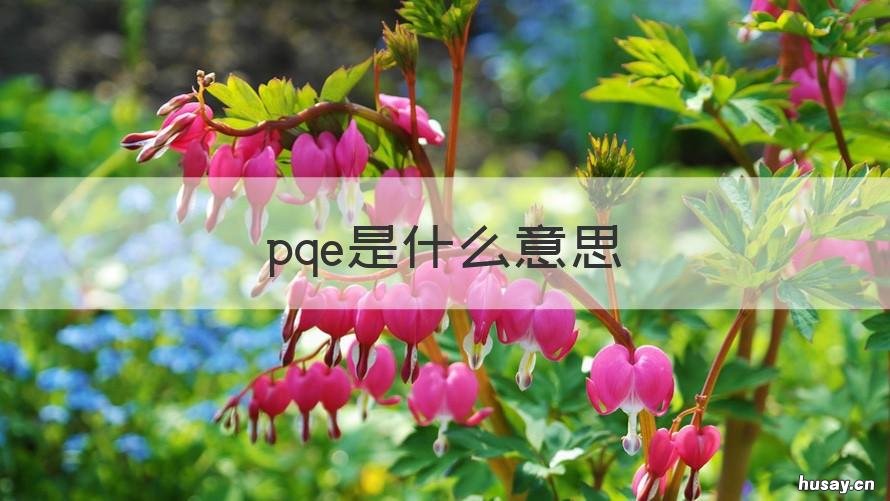 pqe是什么意思 pqe是什么意思 工作职责