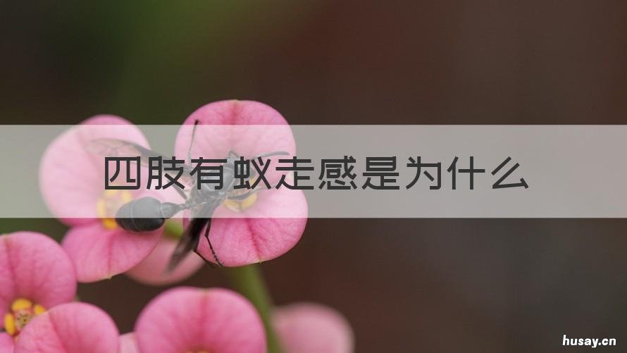 四肢有蚁走感是为什么 四肢有蚁走感怎么回事