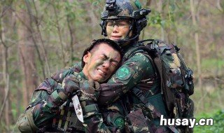 特种兵之火凤凰情人岛第几集 特种兵之火凤凰情人岛哪一集