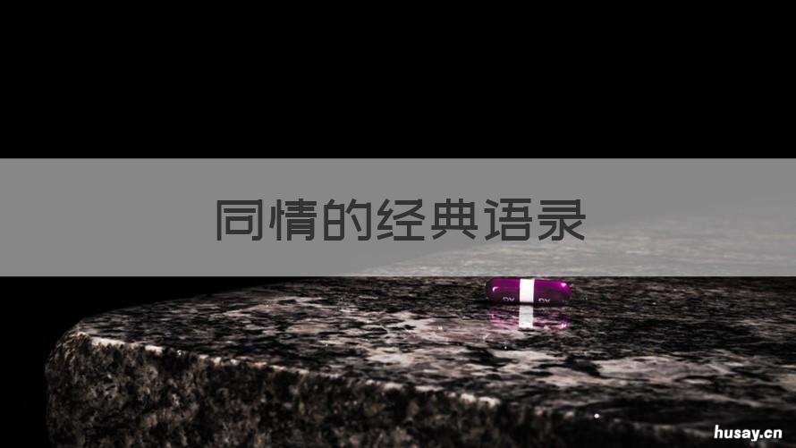 同情的经典语录 同情的名句